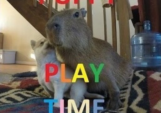 Cute Capybara Is the Perfect Puppy Playpal