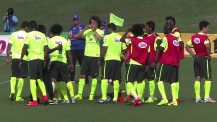 World Cup: Brazil striker Fred praises Chile's tactical prowess