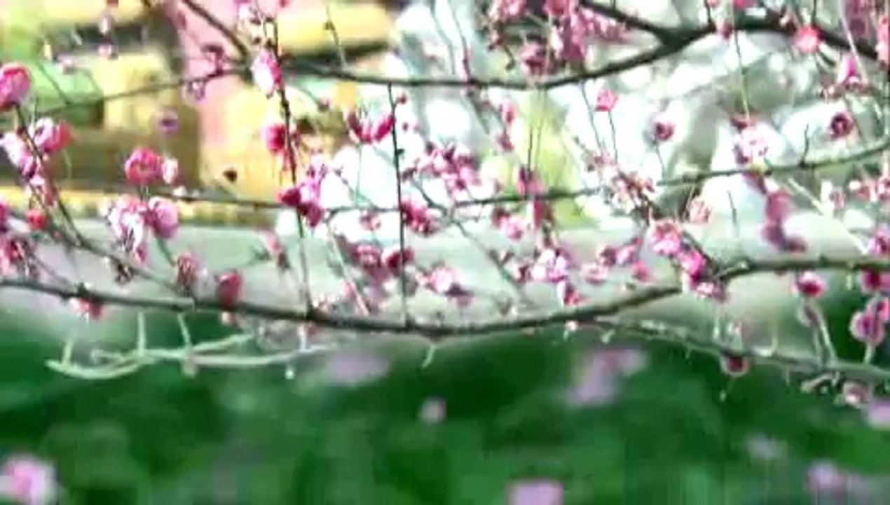 wndemqhqh17