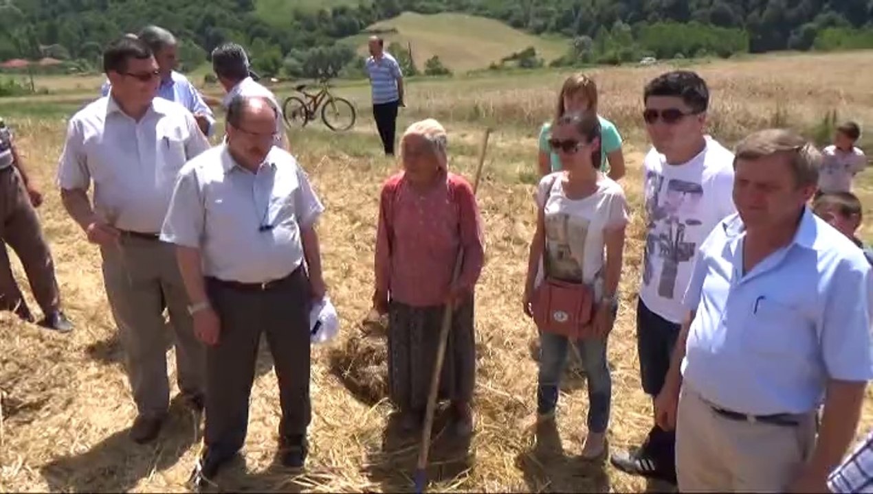 ÇAYCUMA'DA BUĞDAY HASADI YAPILDI