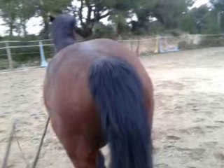 les débuts du reculer par aspiration