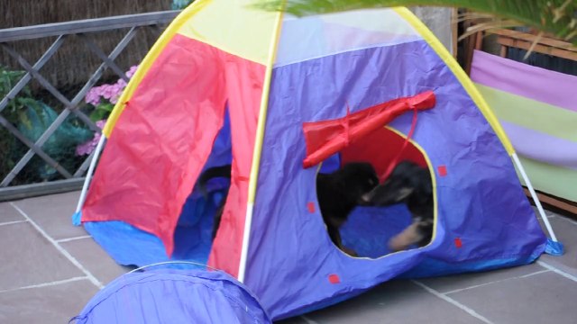 tente hantée 250614