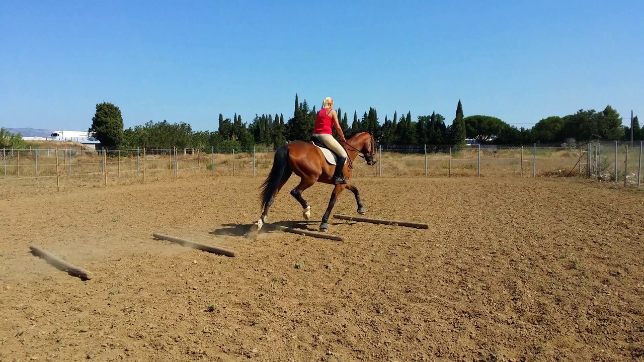 vert pré 2
