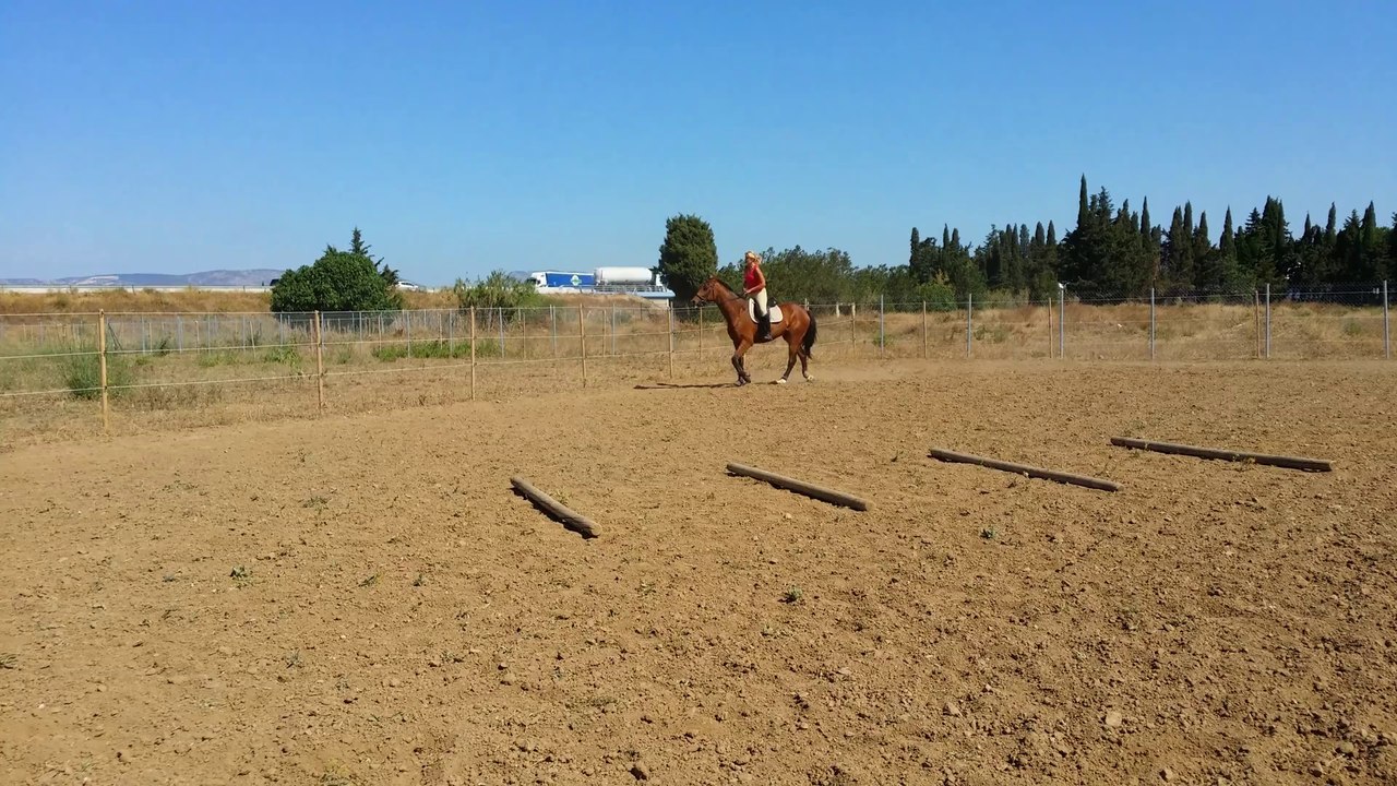 Vert pré 3