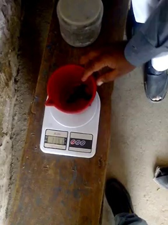 Scorpion 5
