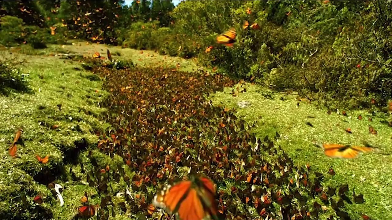 Erik Satie - Gymnopedie 1 (Café del Mar mix)