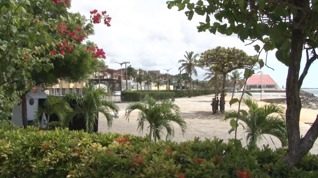 WM 2014: Oranje heiß: 'Haben die besten Spieler'