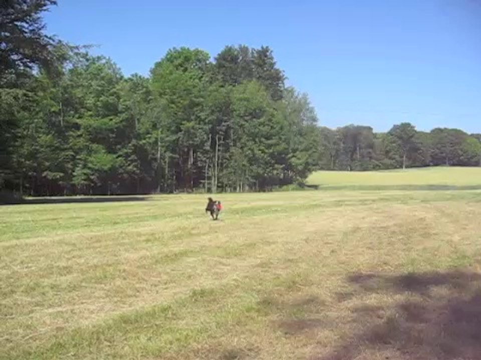 Frisbee a Ronchamp