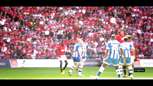 Robin Van Persie ● The Flying Dutchman - Skills _ Goals 2014