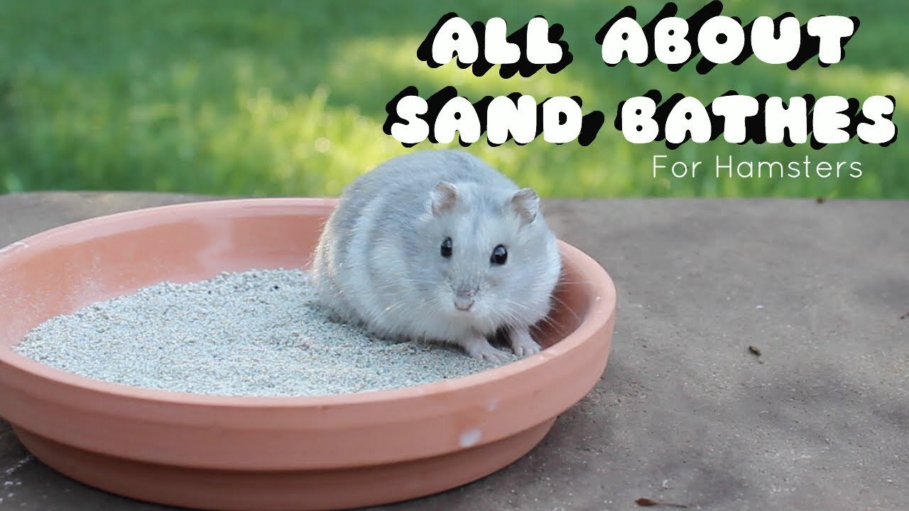 ALL ABOUT SAND BATHS