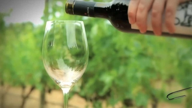 TV3 - 33 recomana - VinyaSons. diversos cellers del Penedès