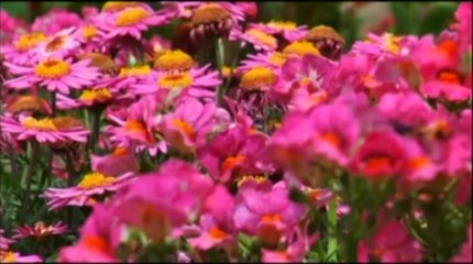 TV3 - Colors en sèrie - Gris plata: reflexe multicolor