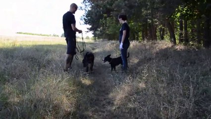 Záchranný koráb - Domi