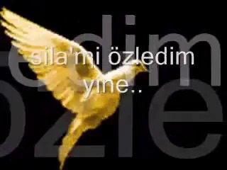 1154327_10201711237446534_56413_nALI ASKERRRRRRRRRRRRRRRR