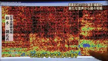 東京都議会セクハラ野次の音声検証