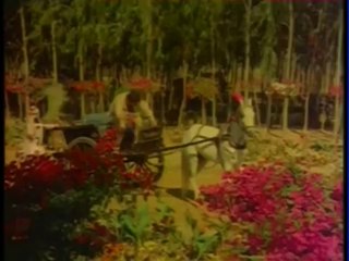 CHAL PREM NAGAR JAYEGA - 1972