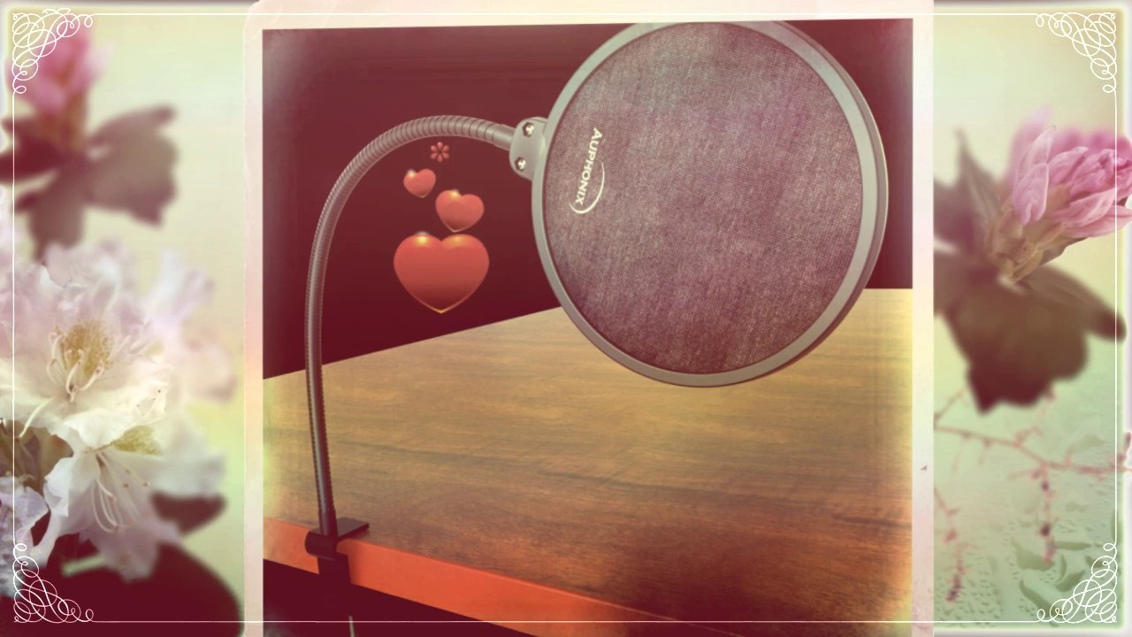 Working with a Pop Shield