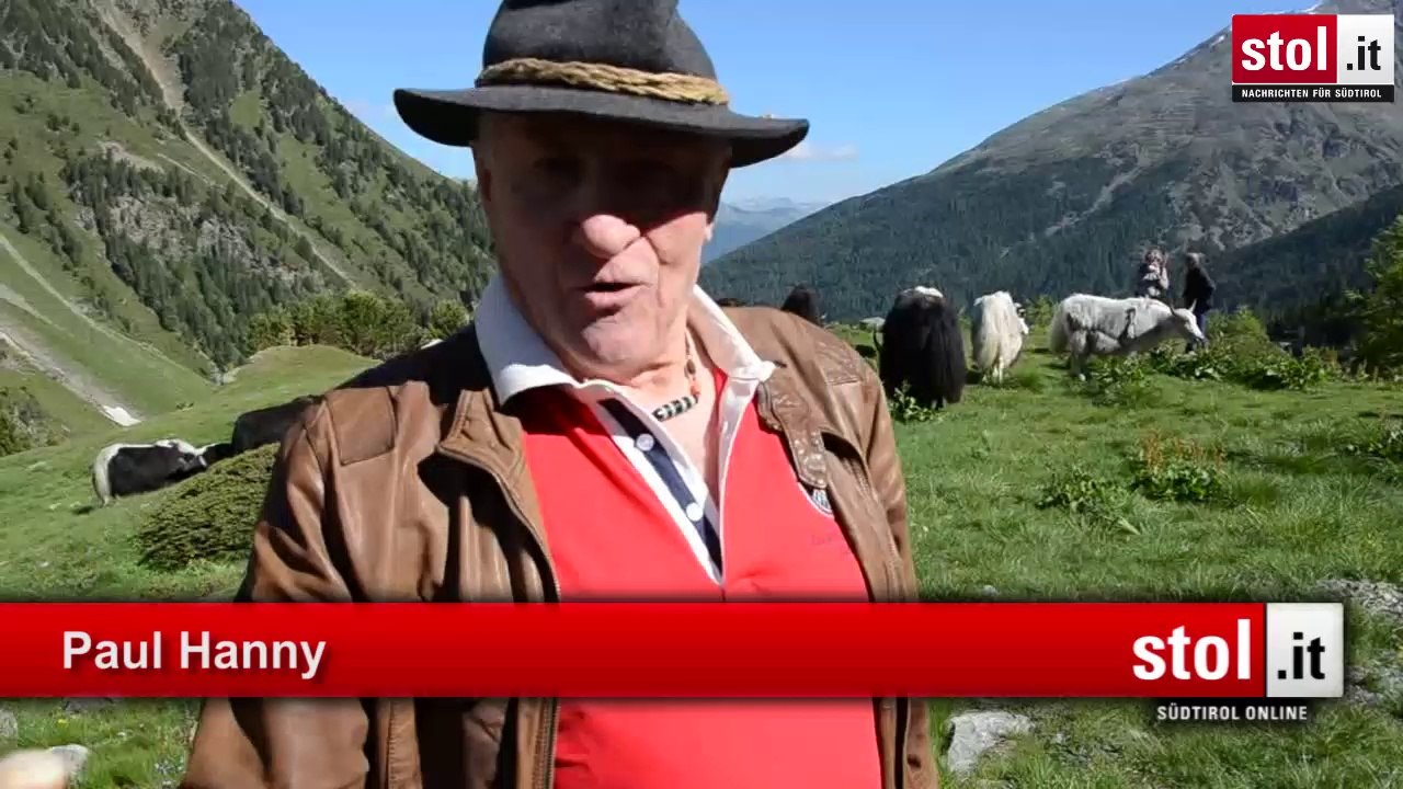 Sulden: Yak-Auftrieb mit Reinhold Messner