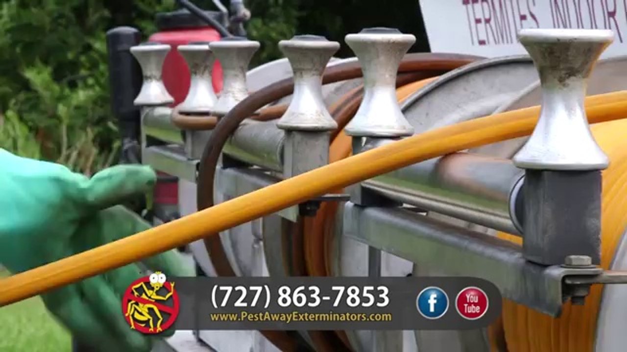 Lawn Spray Trinity Florida