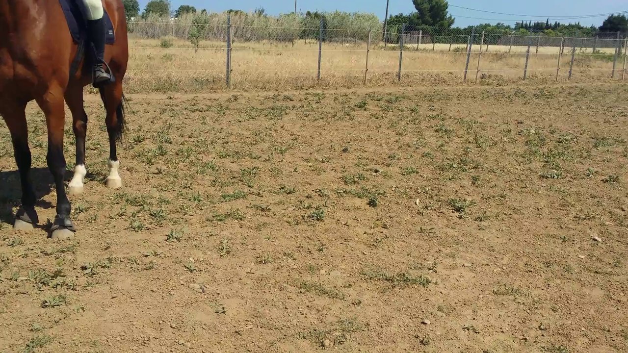 vert pré4