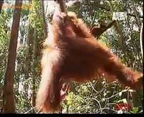 Be The Creature 28th June 2014 Video Watch Online pt2