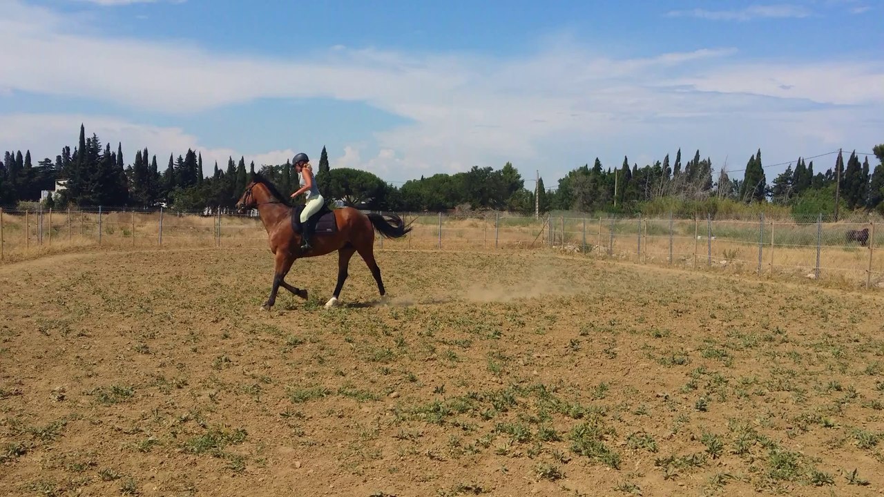 20140613_155540