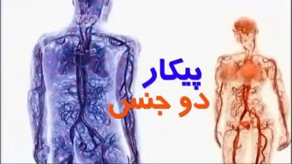 زن یعنی جنس پرست؛ گوینده به زنها میگوید خانمها اما به مردان نمیگوید آقایان