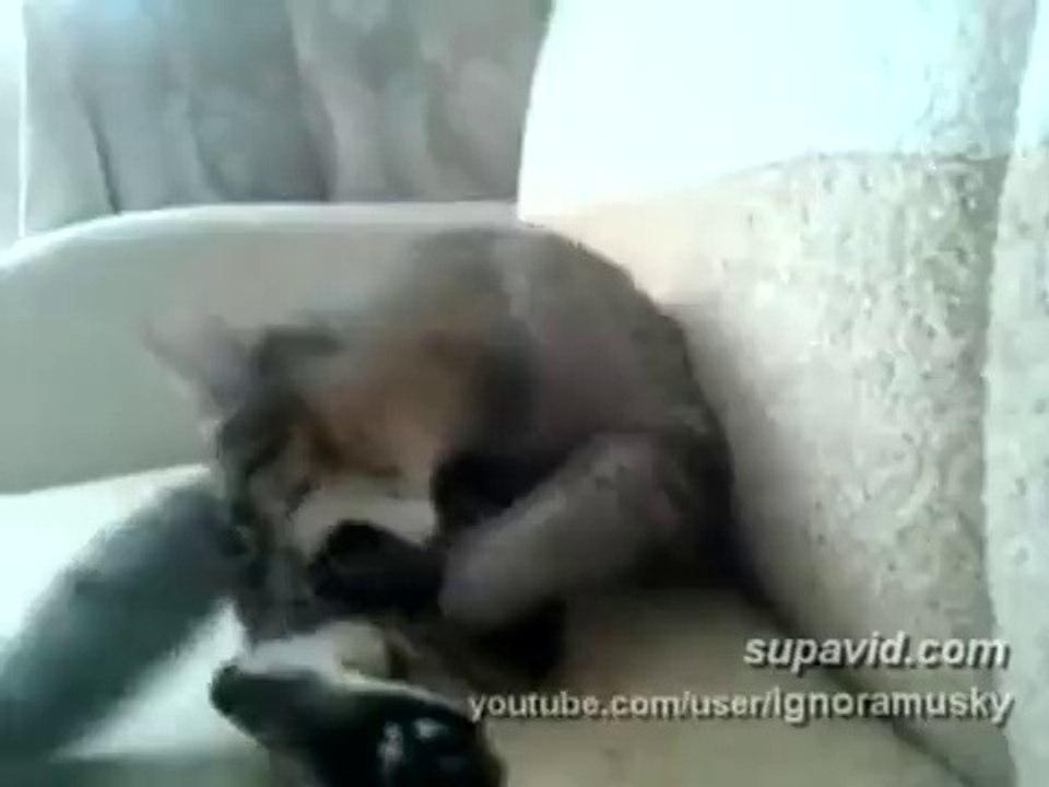 на 7 сек. вы просто упадете со стула)))))))