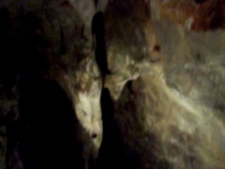 Discovering the Limestone Caves