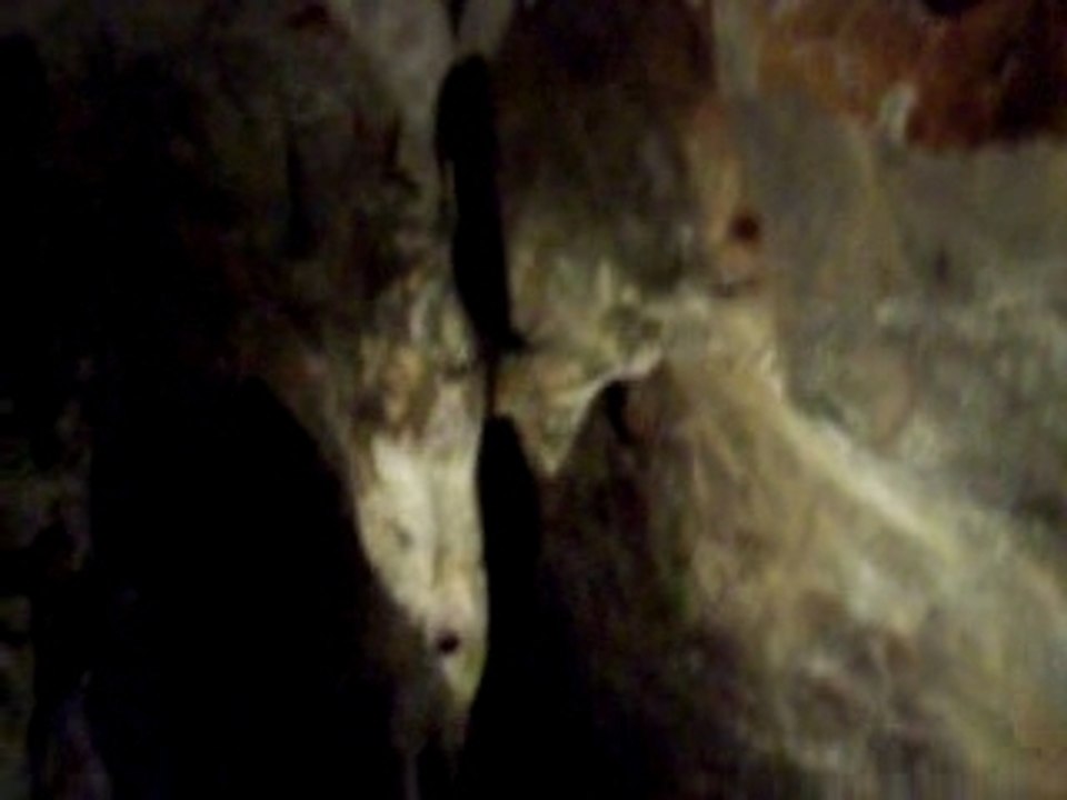 Discovering the Limestone Caves