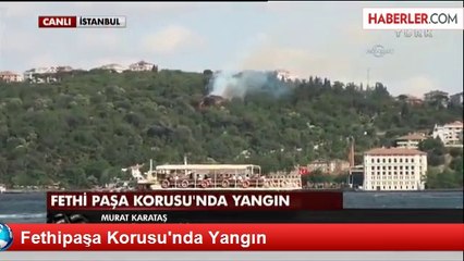 Fethipaşa Korusu'nda Yangın