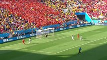 اجمل الأهداف في مرحلة المجموعات كأس العالم البرازيل 2014