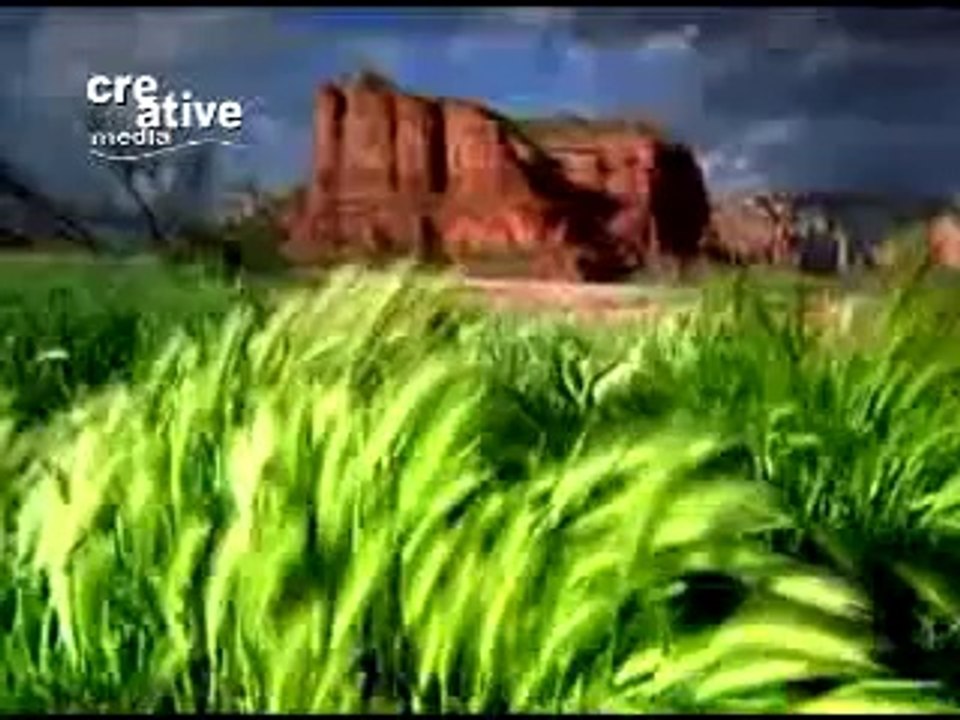 Vajde Ne Pae Dhool (Amer Bhatti)
