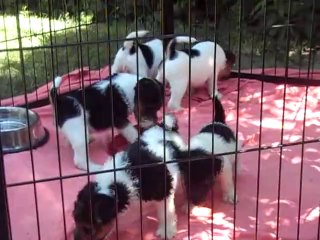 Bébés Fly et Keks 2014