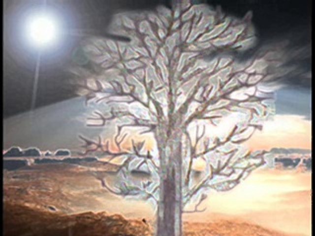 Stekches of trees