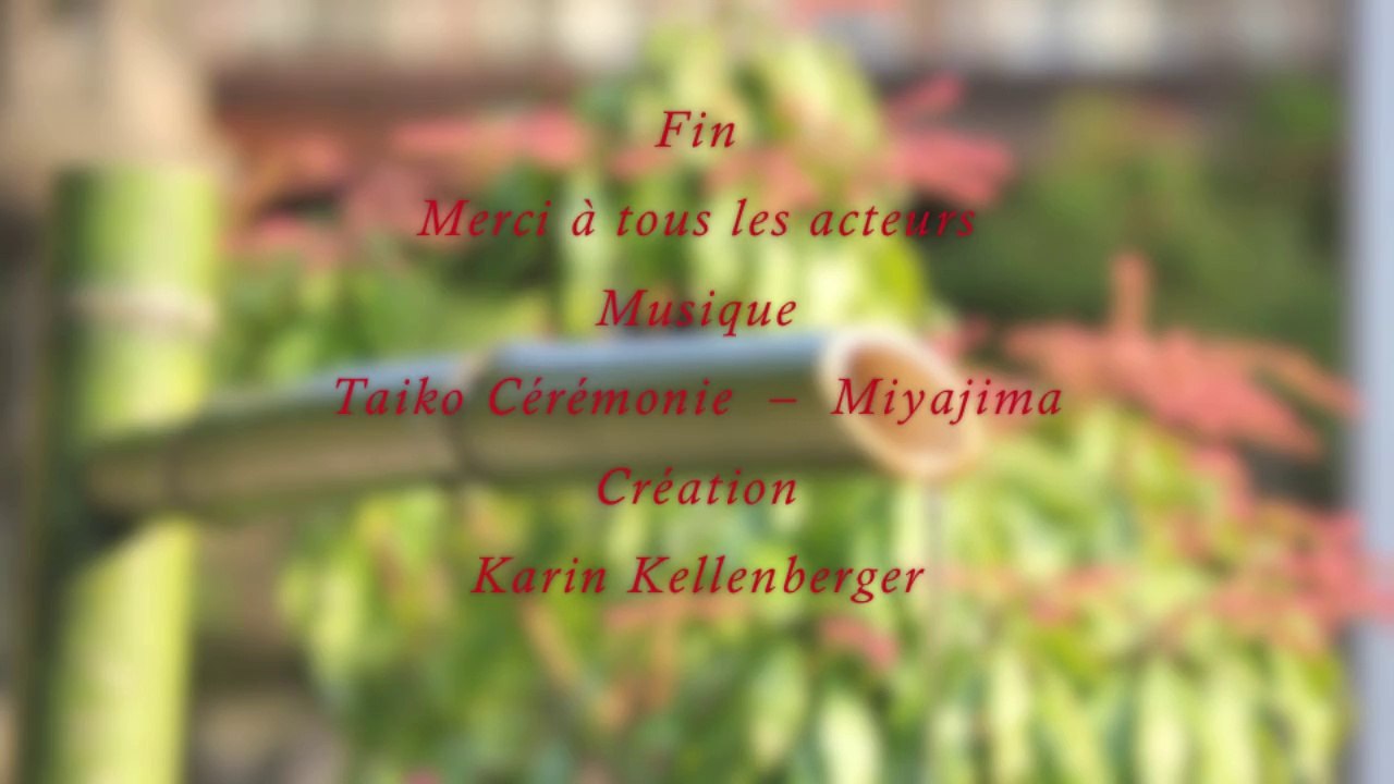 The Aikido Notebooks with Michel Erb Sensei  Part 4 The unity of the body