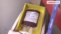 AK Parti Niğde İl Teşkilatı'ndan kan bağışı -