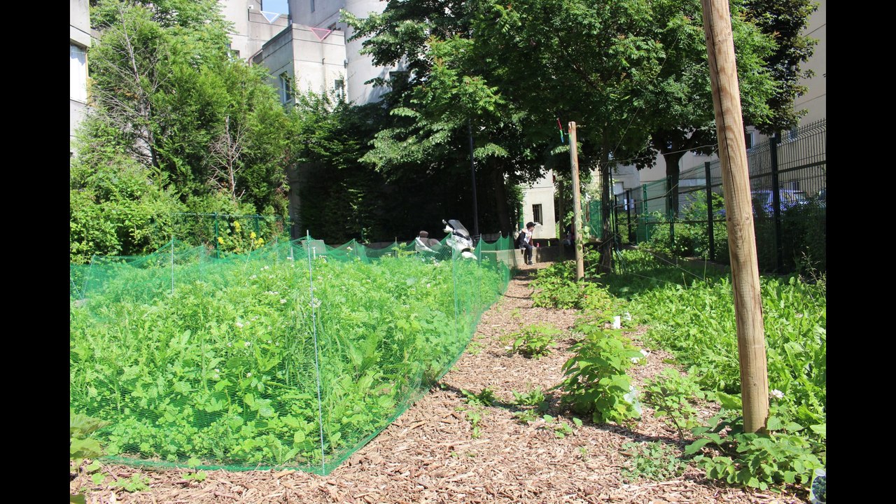 Le Verger de Mala 800 Zoo