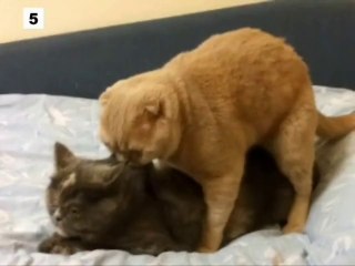 Жёстко поимел свою киску))))