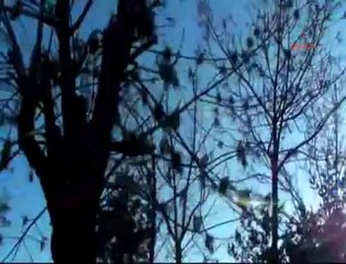 Kağızmanda Yol kesen teröristlerle çıkan çatışmada bir astsubay yaralandı. KağızmandaPkk DevletiEsirAldı