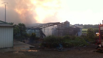 56000 volailles périssent dans l'incendie d'un poulailler