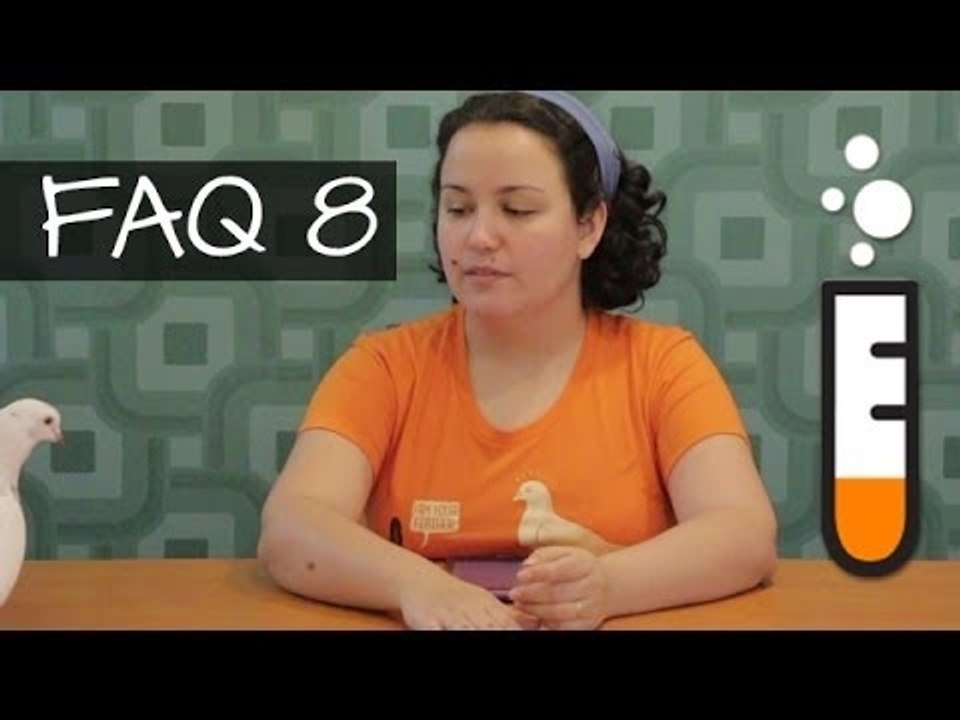 FAQ 8 - Vídeo EuTestei