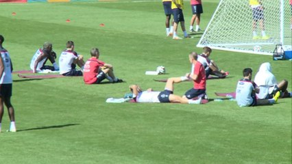 Evra a natural leader - Cabaye