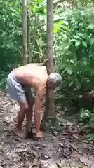 Have You Seen Old Man Like Him