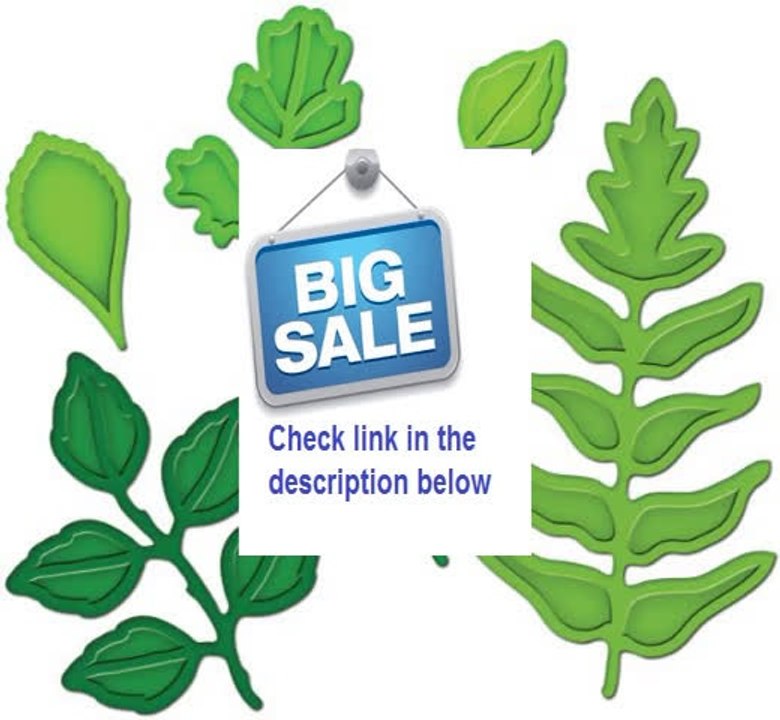 Best Deals Spellbinders Shapeabilities Dies Foliage Review