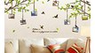 Best Price Wall Decor Removable Decal Sticker - Green Tree Branches with Love Birds & Photo Frames Review