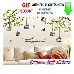 Best Price Wall Decor Removable Decal Sticker - Green Tree Branches with Love Birds & Photo Frames Review