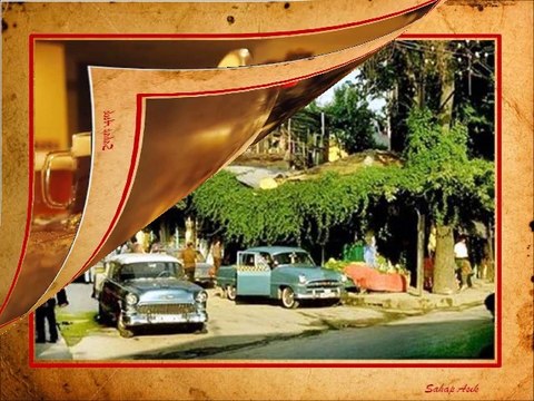 SENE 1965 VE MEVSİM SONBAHAR