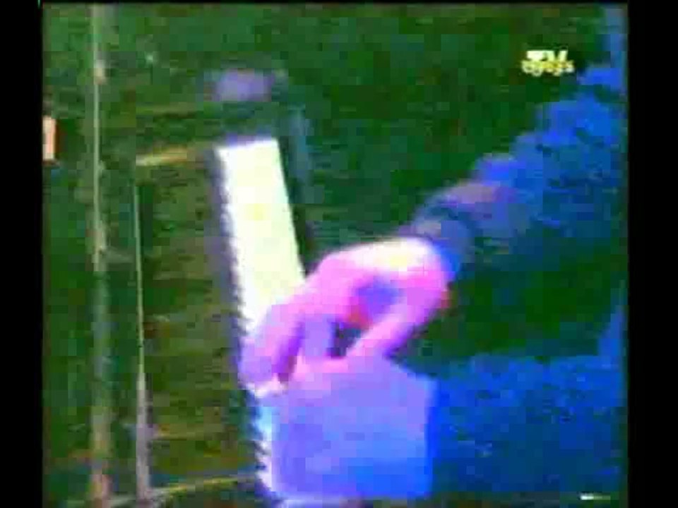 LEO MASLIAH - ALELUYA