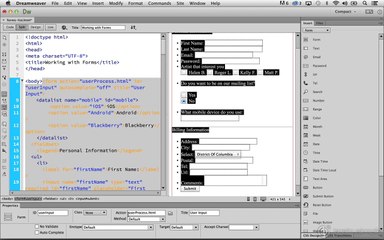 Working with Forms Inserting a Submit Button